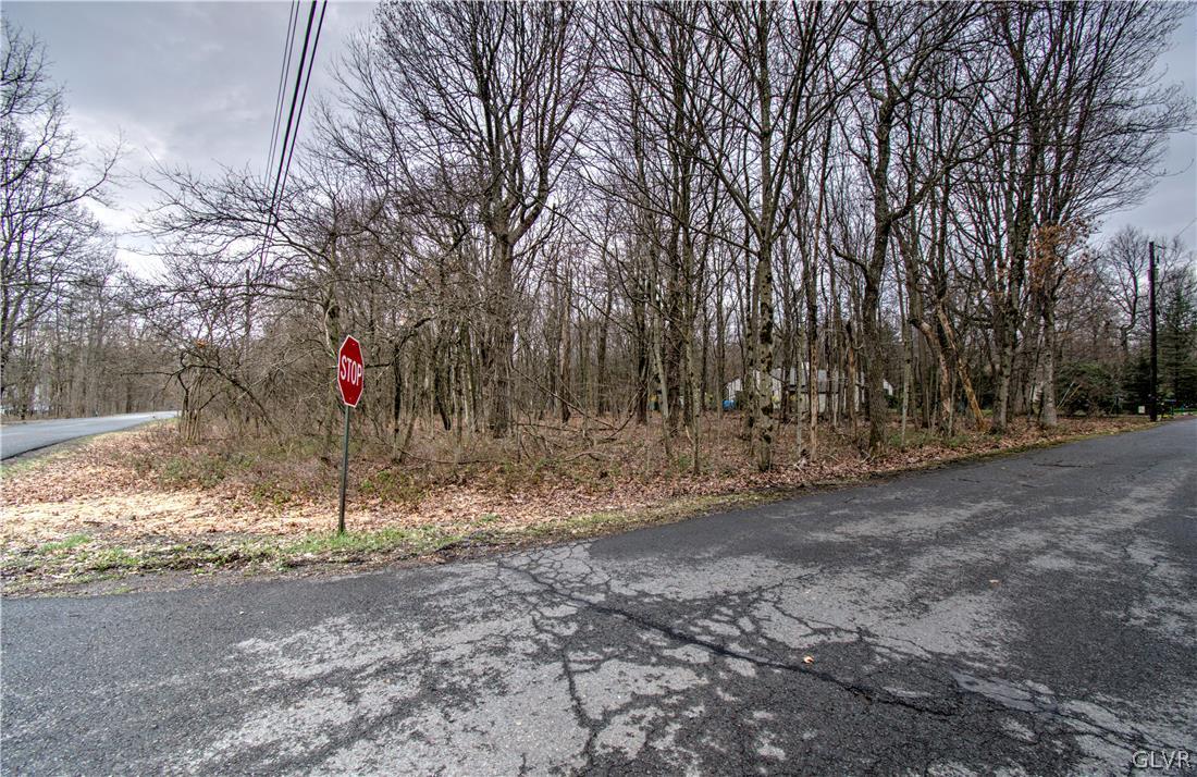 244 Dilldown And Panther Road Jim Thorpe, PA 18229 - Photo 1 of 10 Gallery Image 1