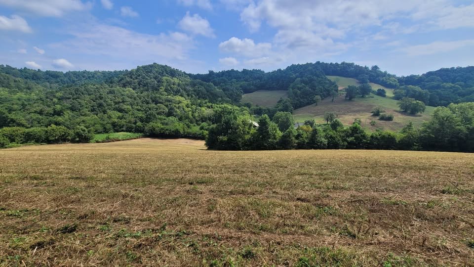 7 Puncheon Camp Road Bell Buckle, TN 37020 - Photo 1 of 16 Gallery Image 1