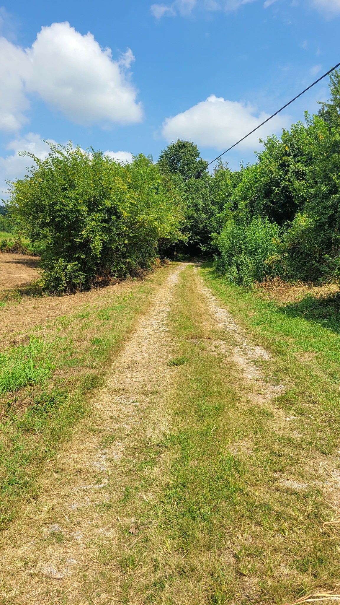 7 Puncheon Camp Road Bell Buckle, TN 37020 - Photo 11 of 16 Gallery Image 11