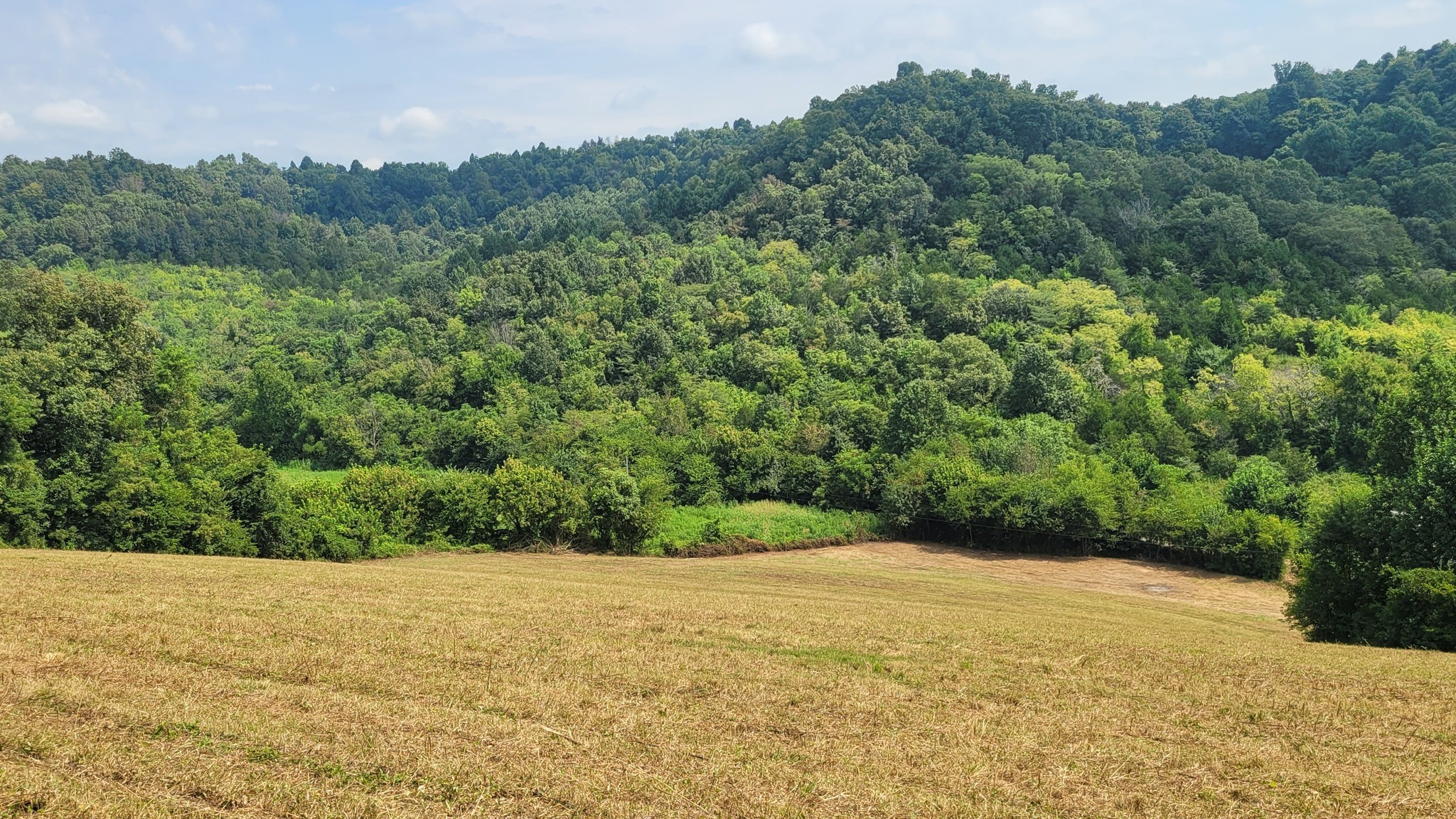 7 Puncheon Camp Road Bell Buckle, TN 37020 - Photo 2 of 16 Gallery Image 2