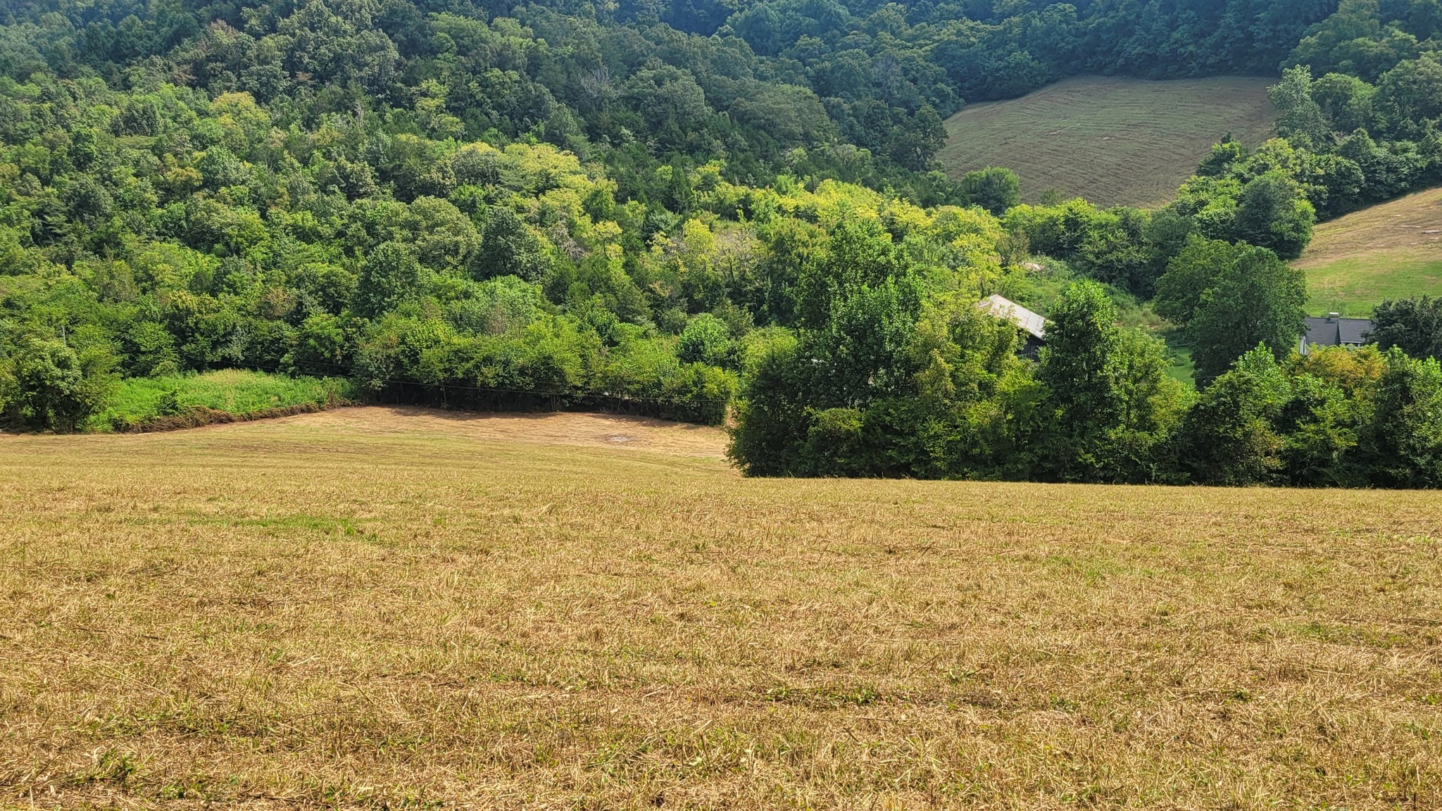 7 Puncheon Camp Road Bell Buckle, TN 37020 - Photo 3 of 16 Gallery Image 3