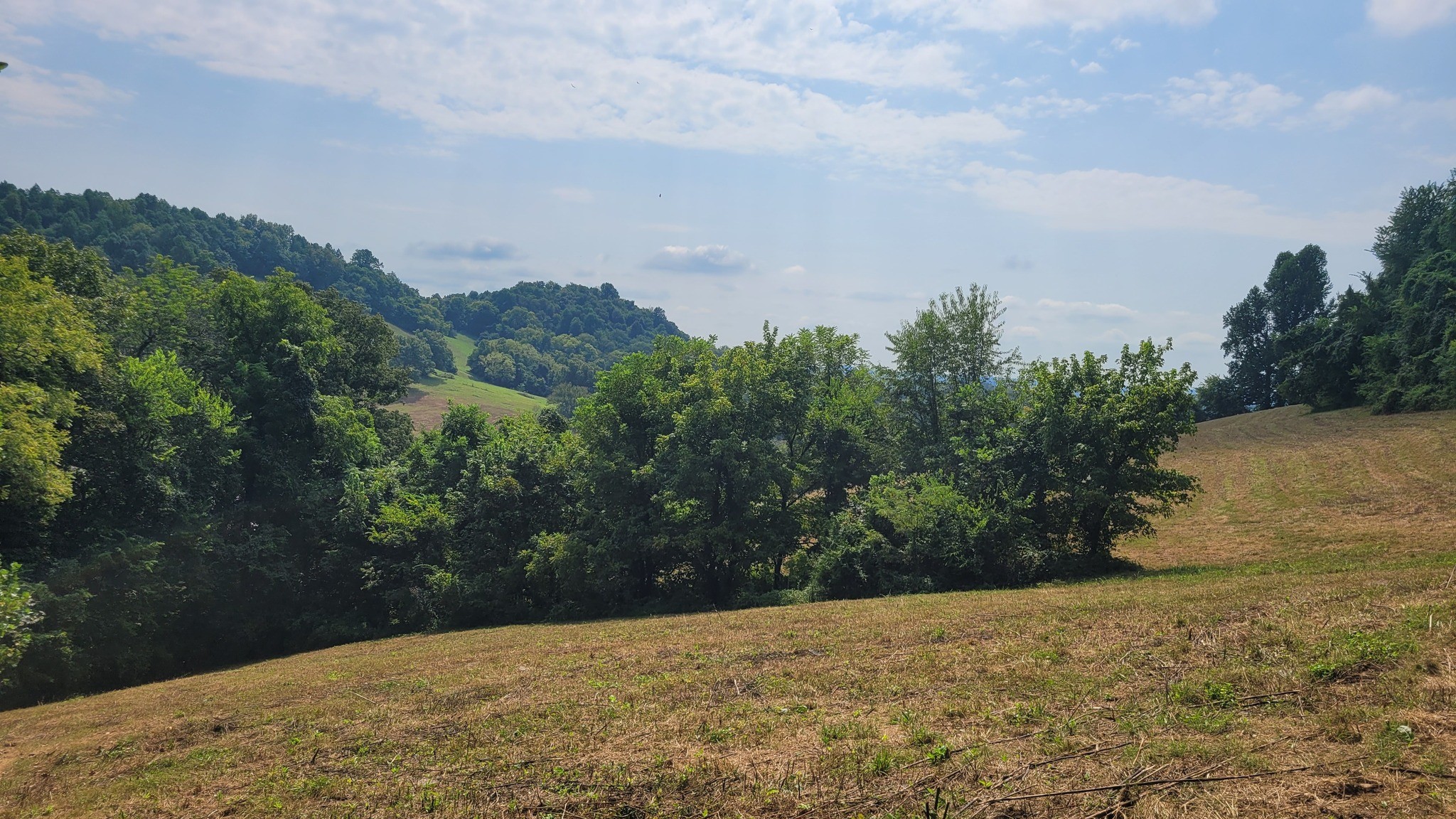7 Puncheon Camp Road Bell Buckle, TN 37020 - Photo 5 of 16 Gallery Image 5