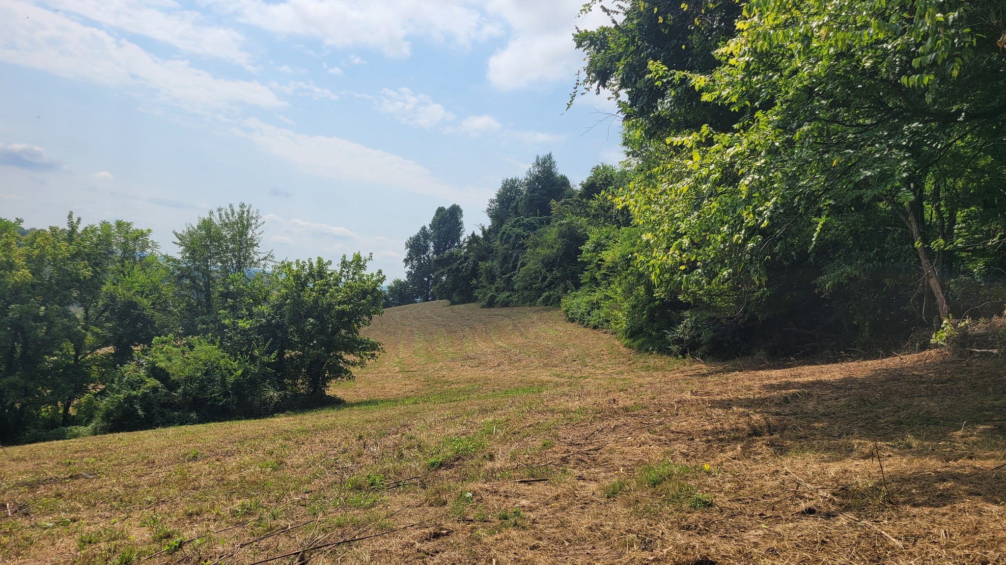 7 Puncheon Camp Road Bell Buckle, TN 37020 - Photo 6 of 16 Gallery Image 6