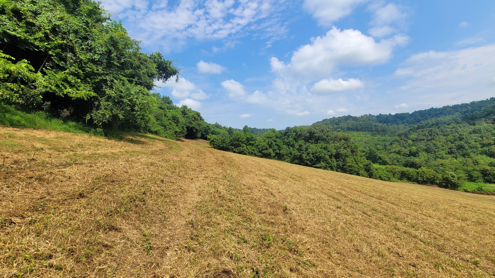 7 Puncheon Camp Road Bell Buckle, TN 37020 - Photo 7 of 16 Gallery Image 7