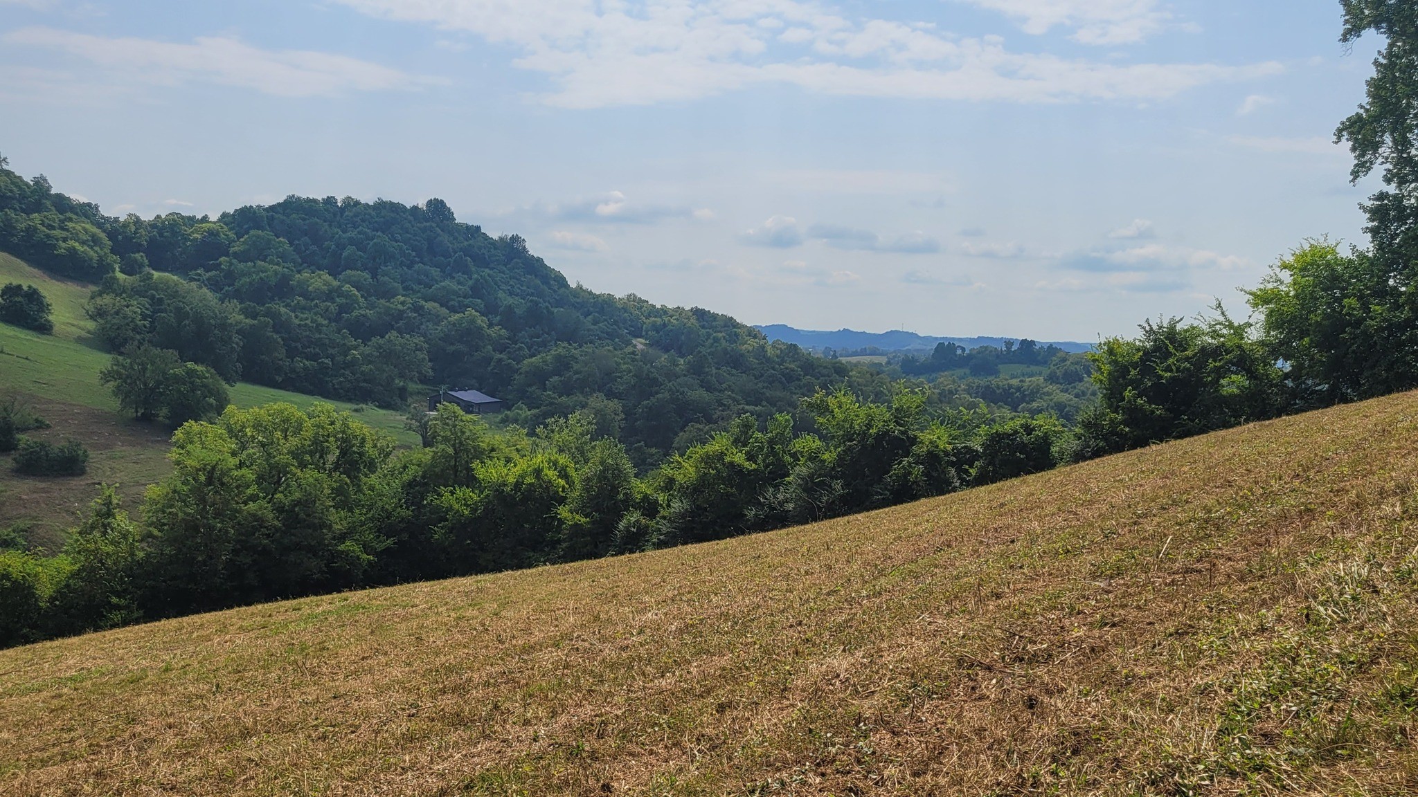 7 Puncheon Camp Road Bell Buckle, TN 37020 - Photo 8 of 16 Gallery Image 8