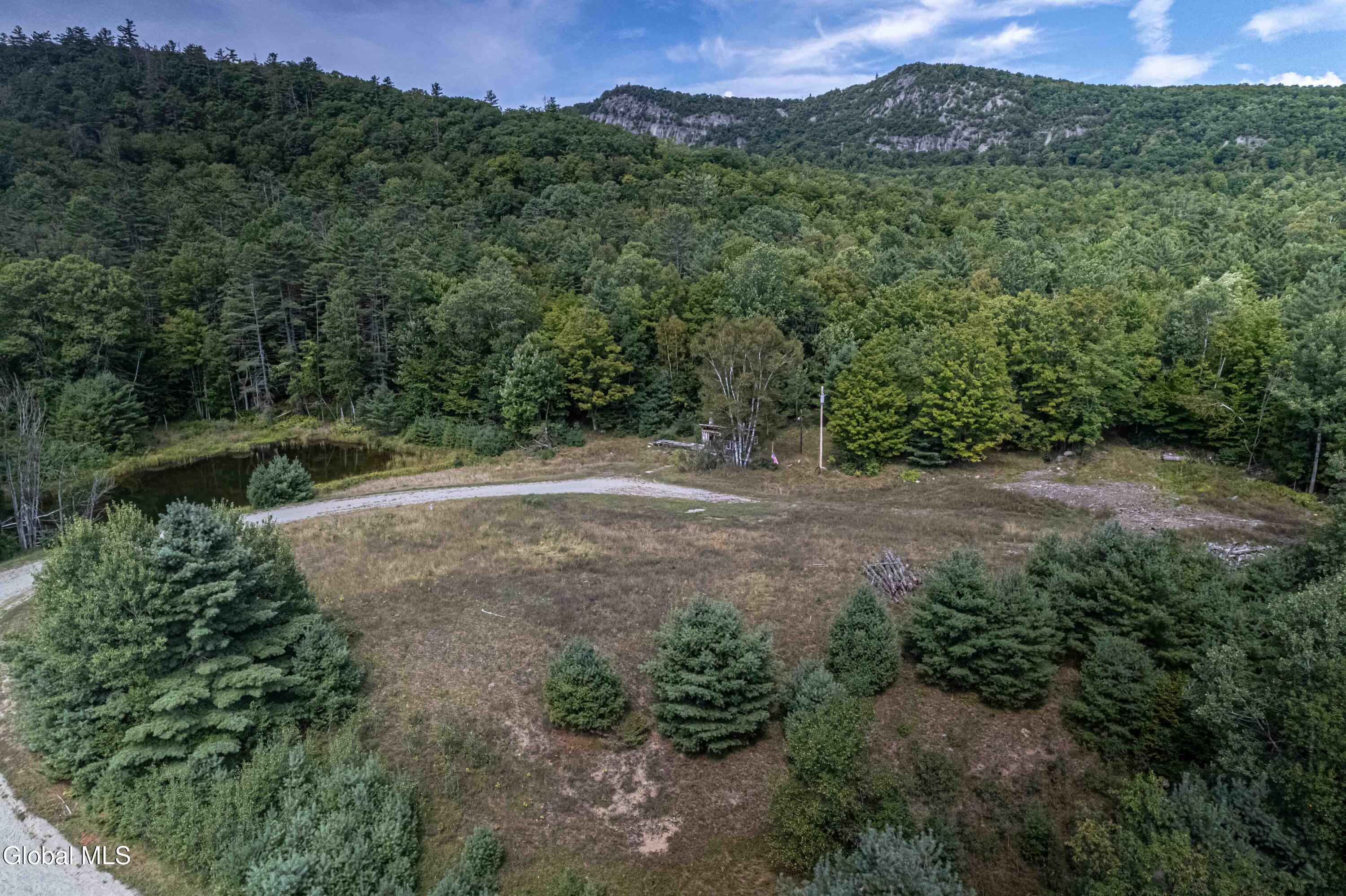 68 Walter Foote Road Chester, NY 12853 - Photo 11 of 13 ADK--7