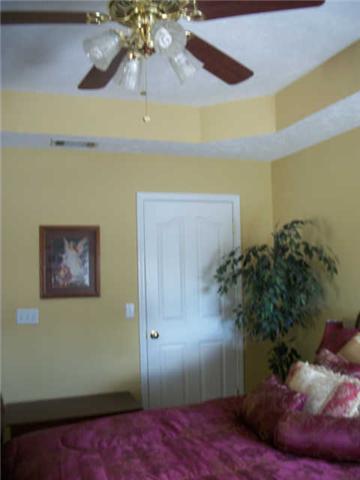 738 Old Seminary Road Manchester, TN 37355 - Photo 14 of 19 view of Master BR ceiling