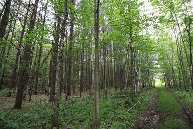 Baker Road Midland, MI 48642 - Photo 2 of 18