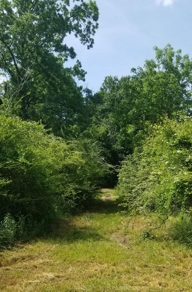 6.3-acres Skipper Road Dothan, AL 36301 - Photo 5 of 7