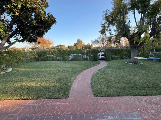 a view of a backyard