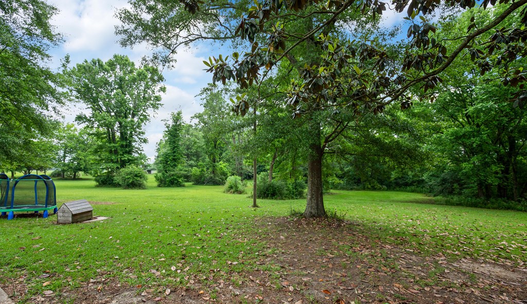 1390 Webb To Kinsey Road Webb, AL 36376 - Photo 20 of 24 View