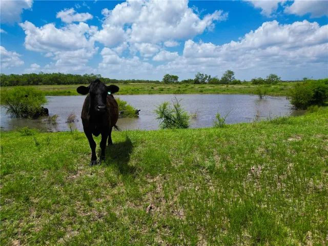 $698,900 | 0 Fm 673, Kenedy, TX 78119