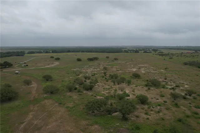 $698,900 | 0 Fm 673, Kenedy, TX 78119