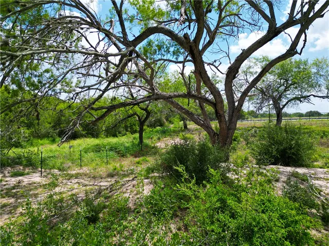 $698,900 | 0 Fm 673, Kenedy, TX 78119