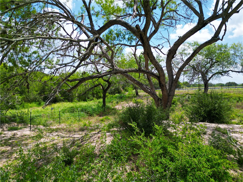 0 Fm 673 Kenedy, TX 78119 - Photo 4 of 21