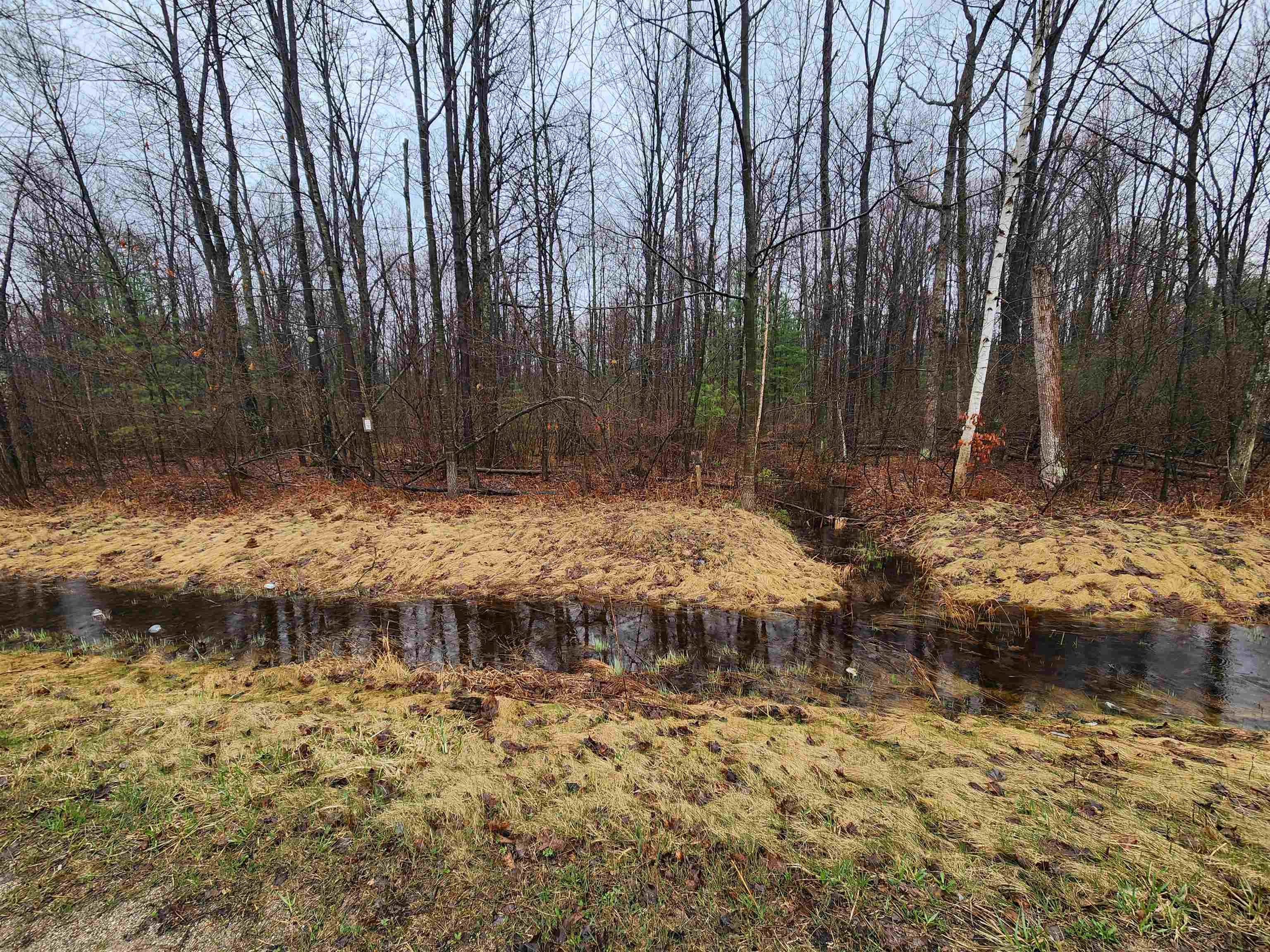 V/l West Howard Road Gladwin, MI 48624 - Photo 2 of 10
