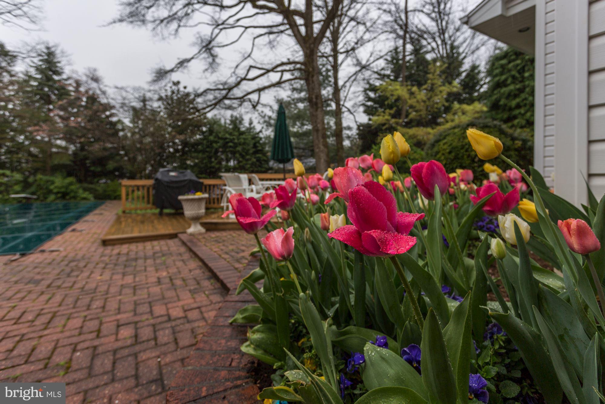 5508 Devon Road Bethesda, MD 20814 - Photo 32 of 41 Enjoy a blooming yard throughout the season