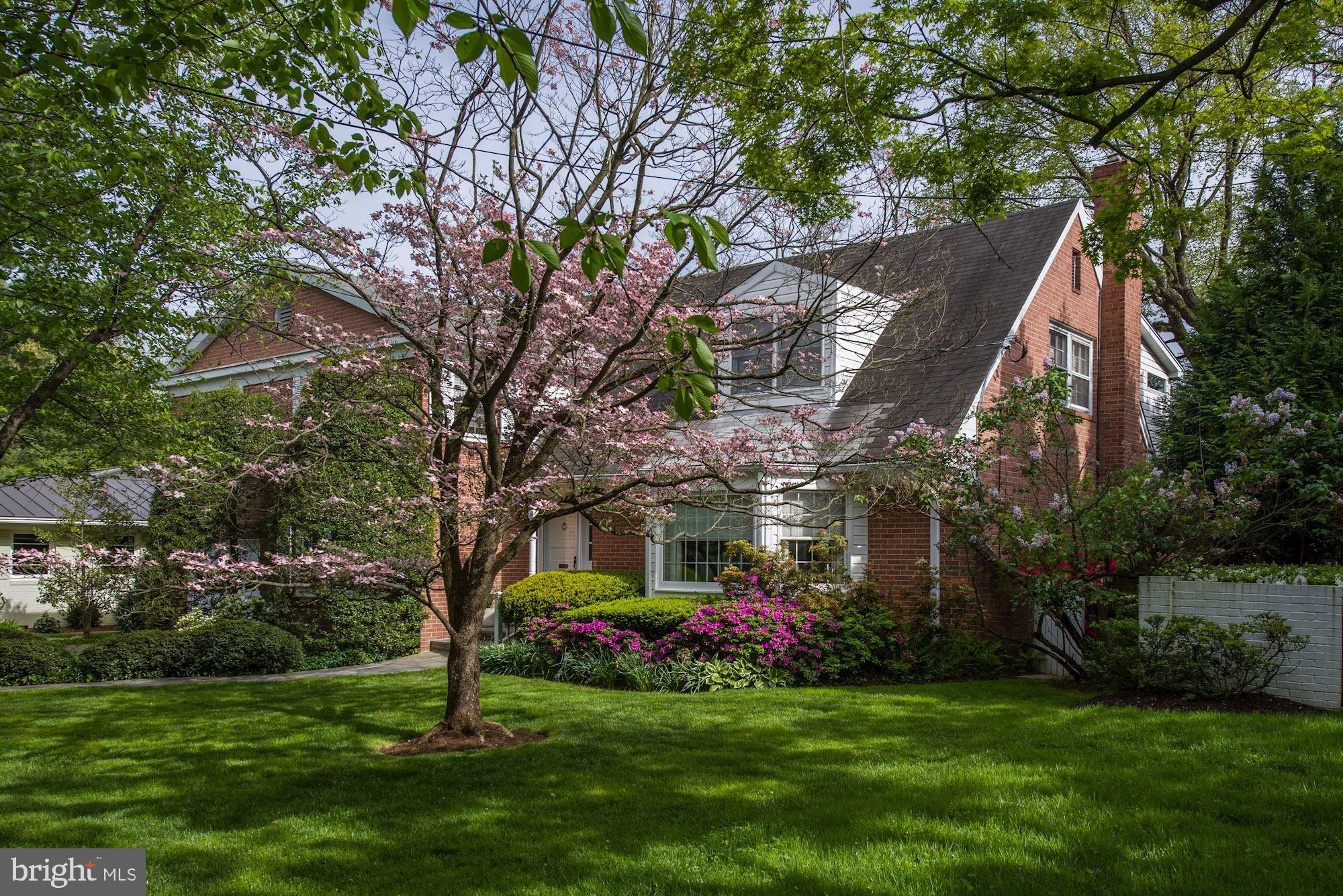 5508 Devon Road Bethesda, MD 20814 - Photo 35 of 41 Pink dogwood