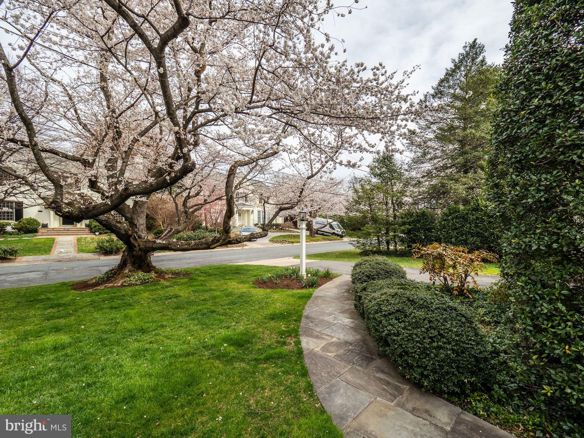 5508 Devon Road Bethesda, MD 20814 - Photo 36 of 41 All on a mature cherry tree lined street