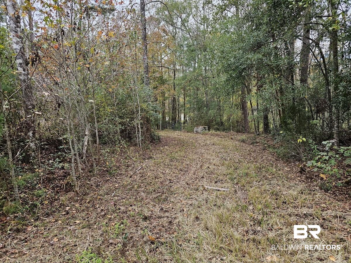 8515 Club House Road Bay Minette, AL 36507 - Photo 12 of 19