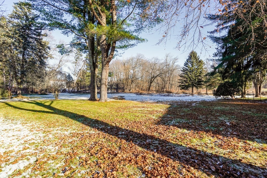 61 Walnut Street Shrewsbury, MA 01545 - Photo 27 of 38 a view of swimming pool with tree s
