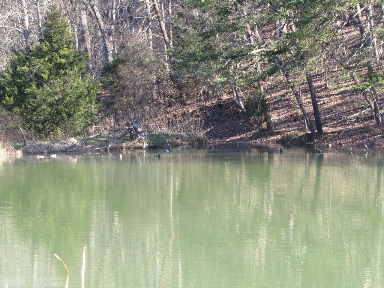 488 Friendship Road Shawsville, VA 24162 - Photo 10 of 23 Gallery Image 10