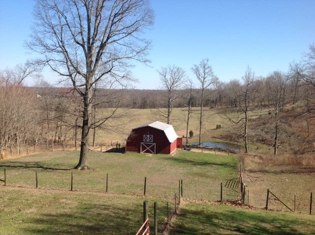 126 Whitney Road Scottsville, KY 42164 - Photo 13 of 28 Gallery Image 13