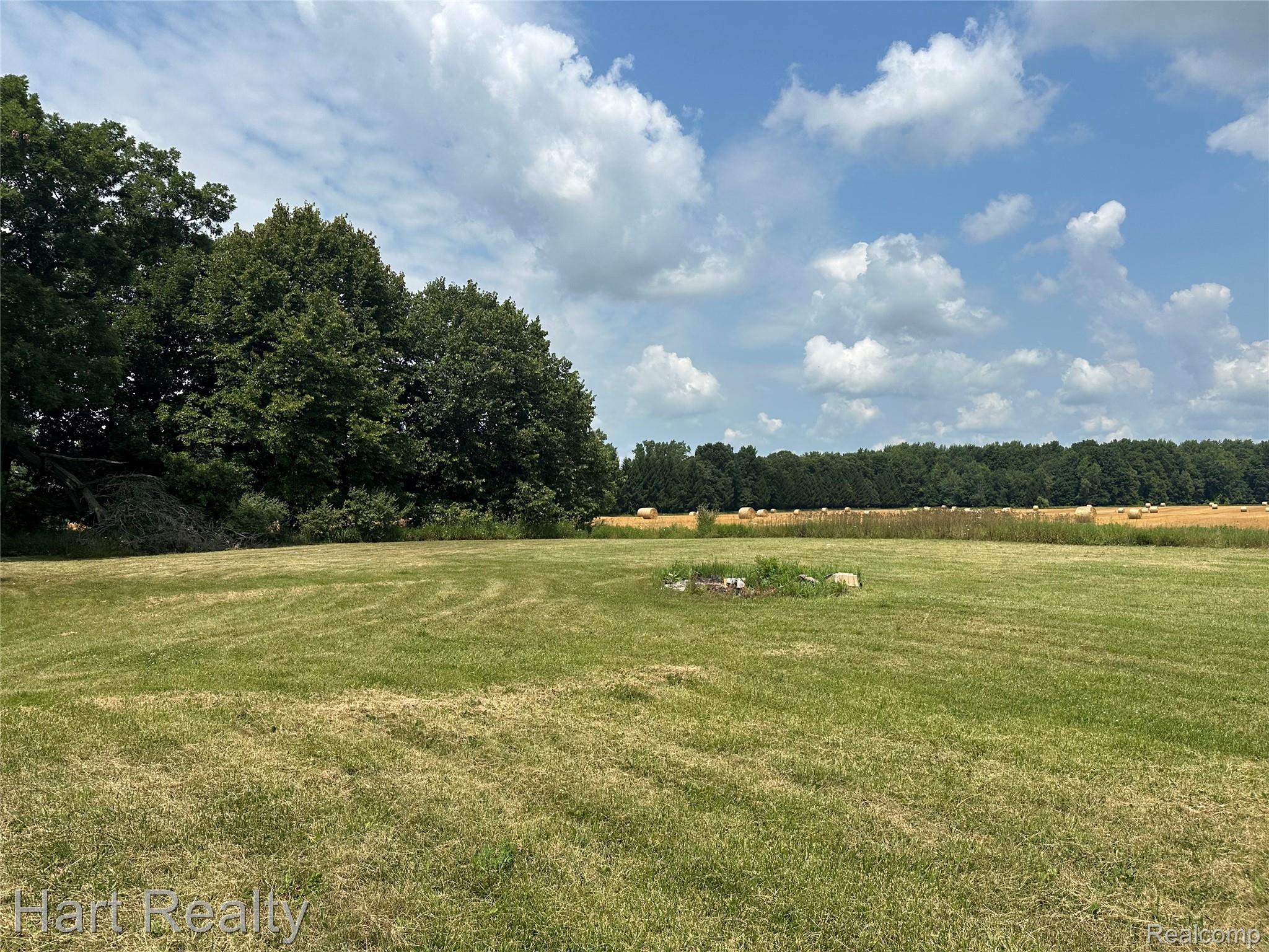 Expansive grassy field bordered by mature trees