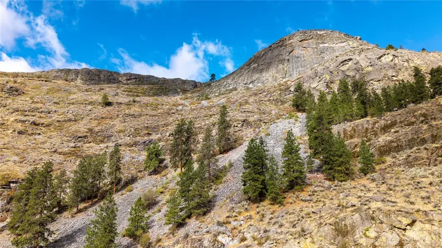 a view of a dry yard with wooden fence