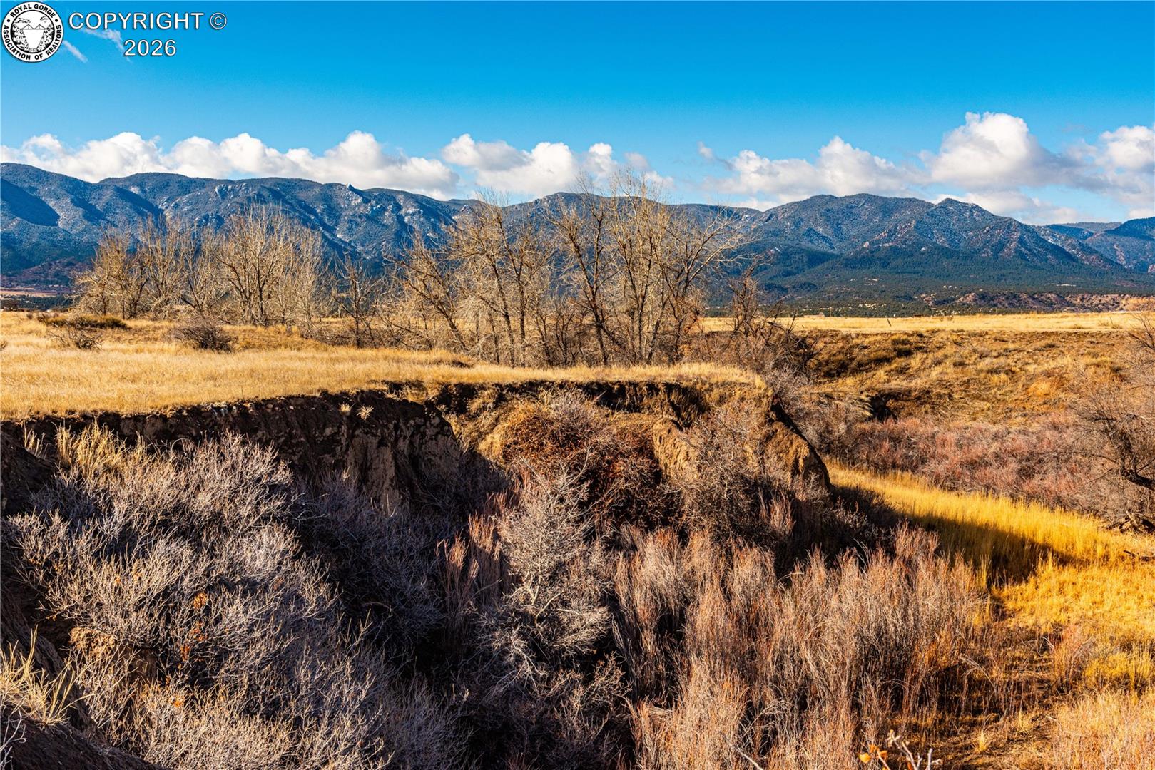 106 County Road 106 Rye, CO 81069 - Photo 11 of 35 Gallery Image 11