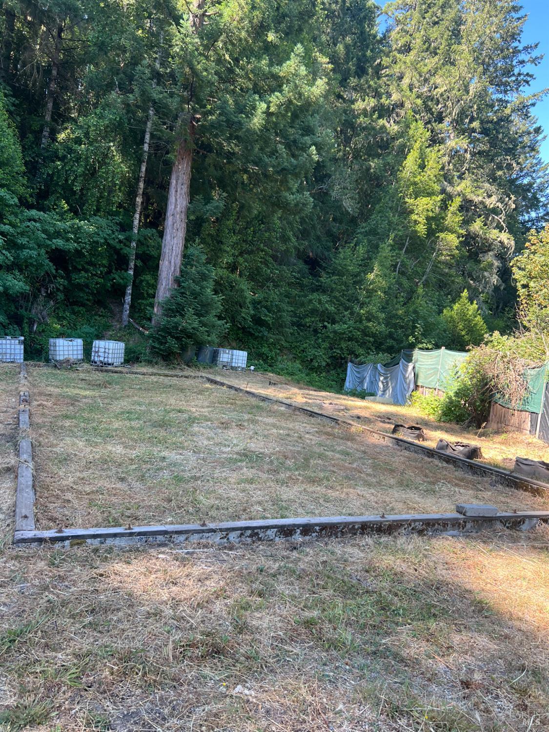 1901 Fort Bragg Road Willits, CA 95490 - Photo 2 of 5 a view of a yard with plants
