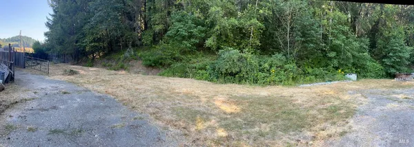 a view of a yard with a tree