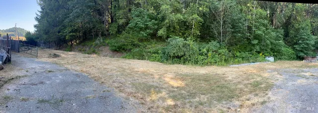 a view of a yard with a tree