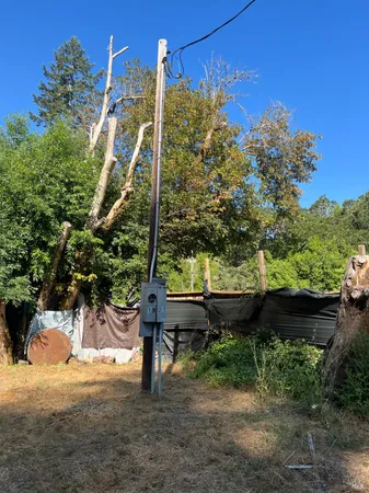 a backyard of a house with lots of green space