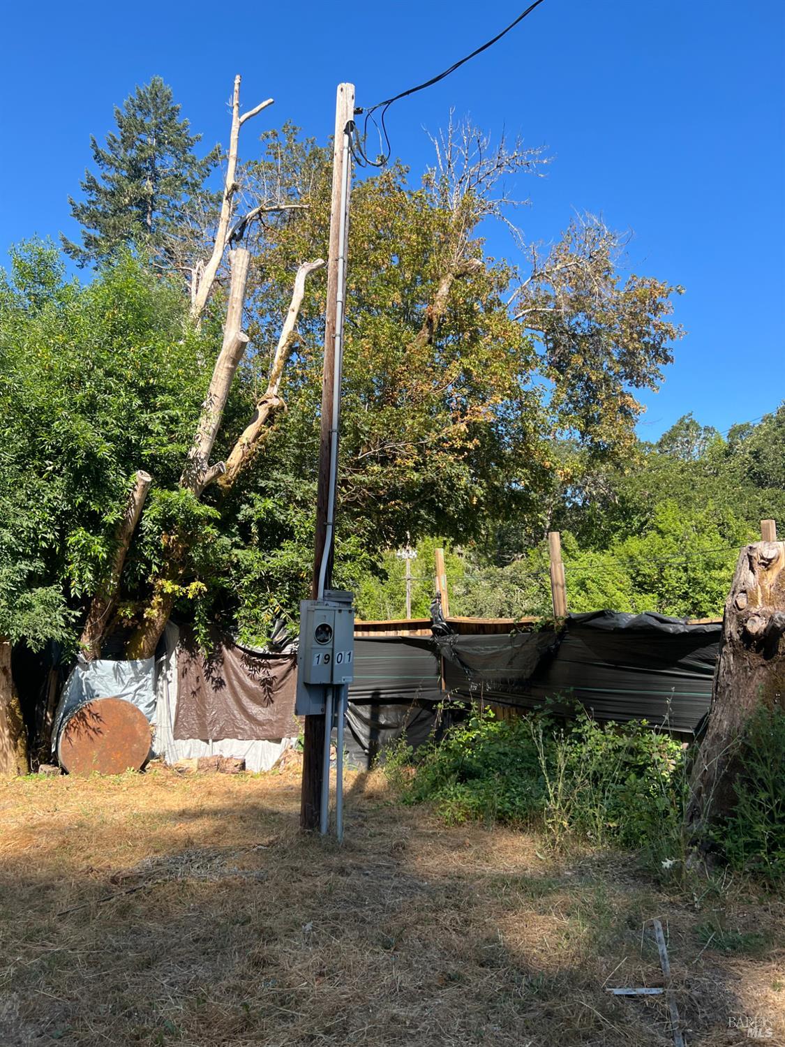 1901 Fort Bragg Road Willits, CA 95490 - Photo 5 of 5 a backyard of a house with lots of green space