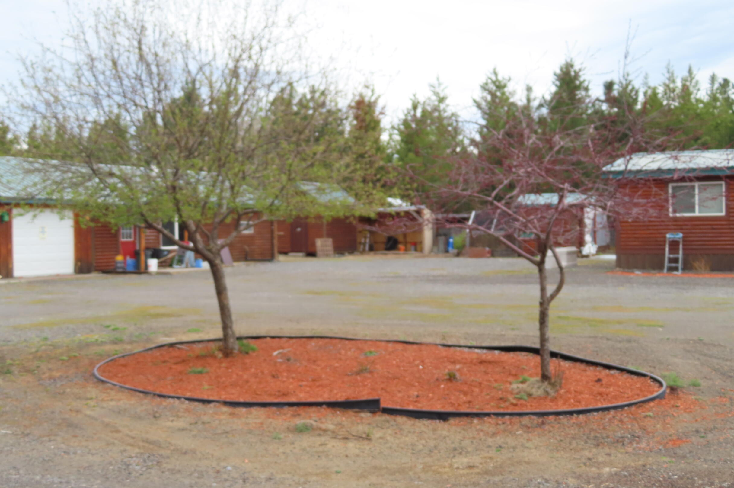 51240 Dianne Road La Pine, OR 97739 - Photo 17 of 45 Nice Landscaping