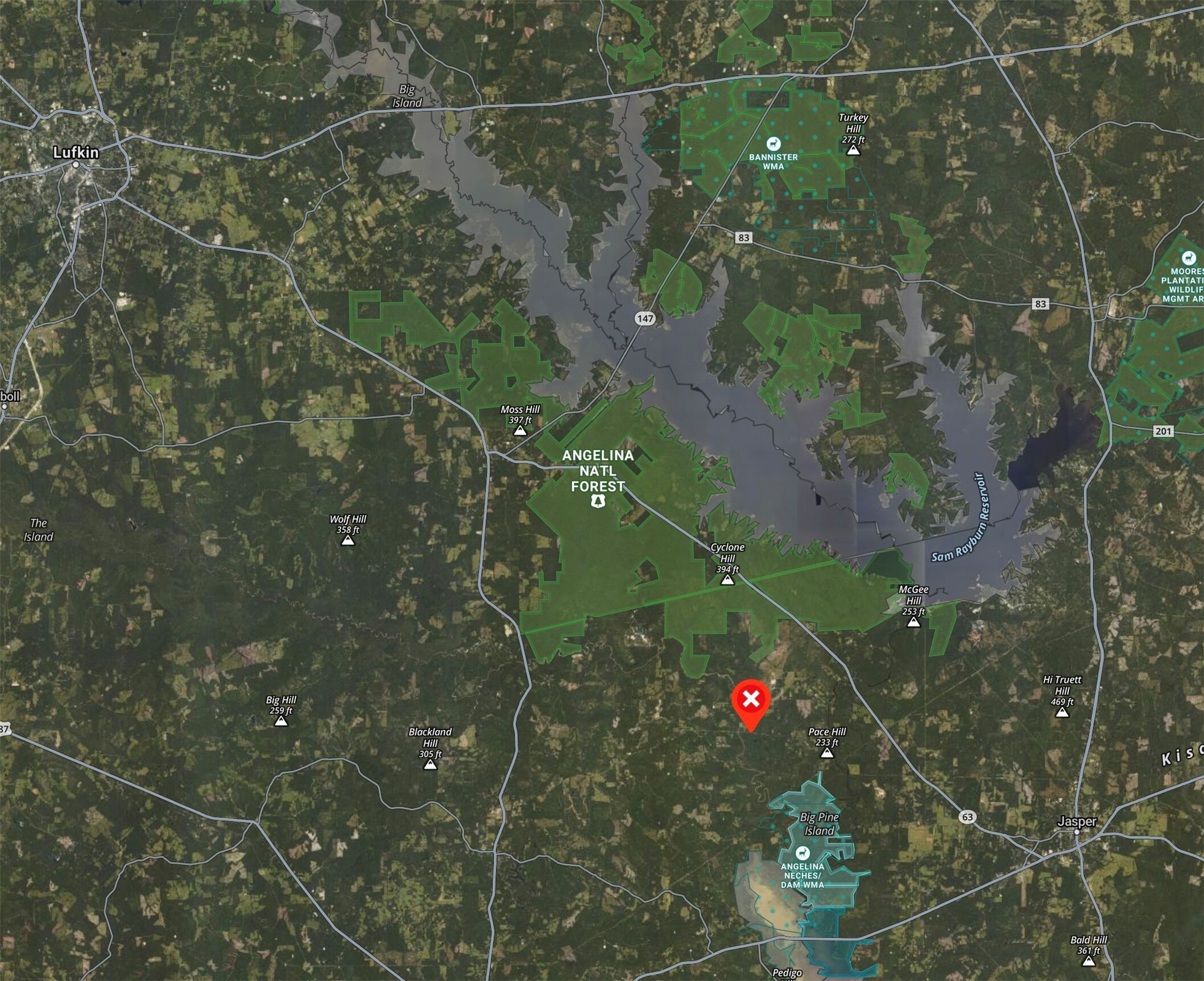 0 Recreational Road 255 Colmesneil, TX 75938 - Photo 15 of 34