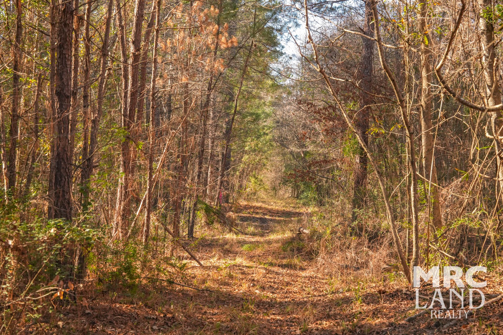 0 Recreational Road 255 Colmesneil, TX 75938 - Photo 30 of 34