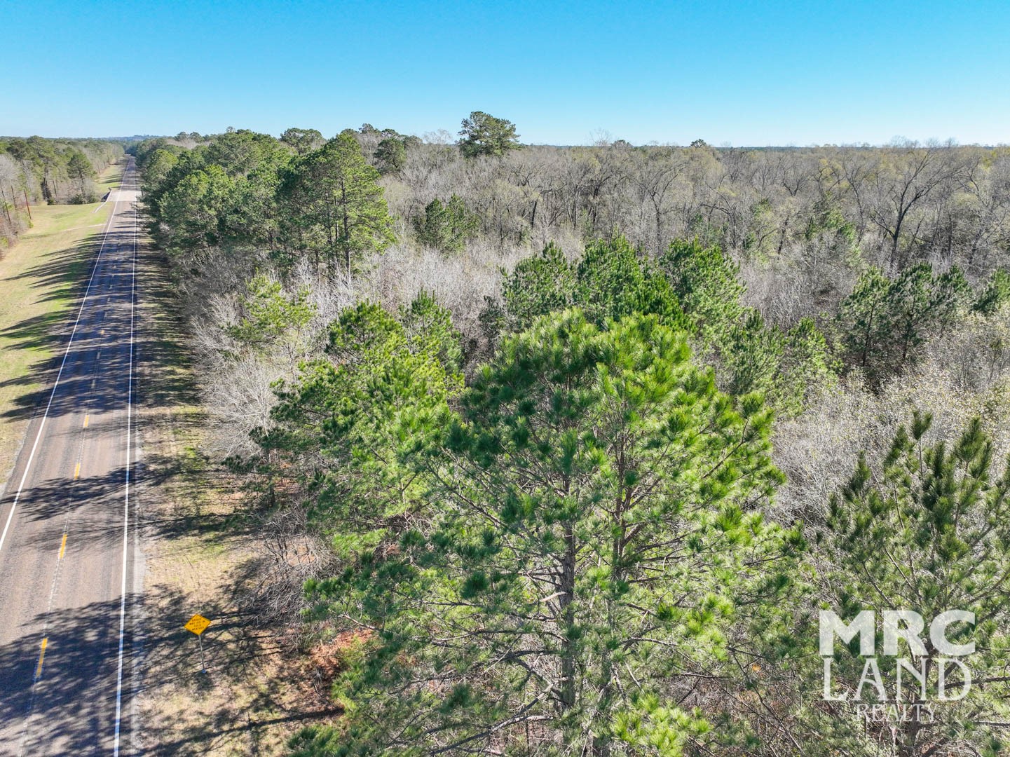 0 Recreational Road 255 Colmesneil, TX 75938 - Photo 31 of 34 a view of a houses with a lush green hillside