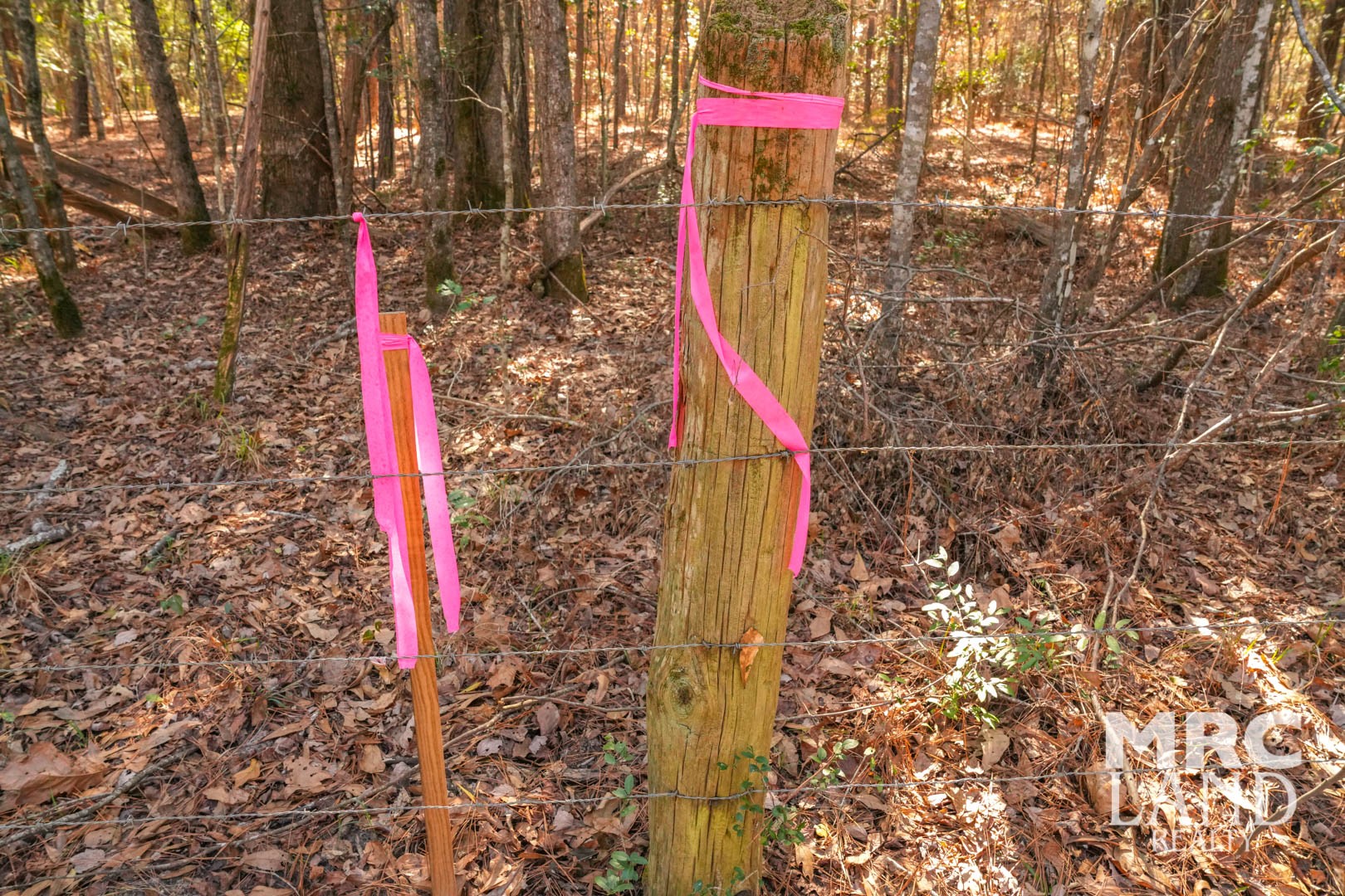 0 Recreational Road 255 Colmesneil, TX 75938 - Photo 34 of 34 a sign board with building in the background