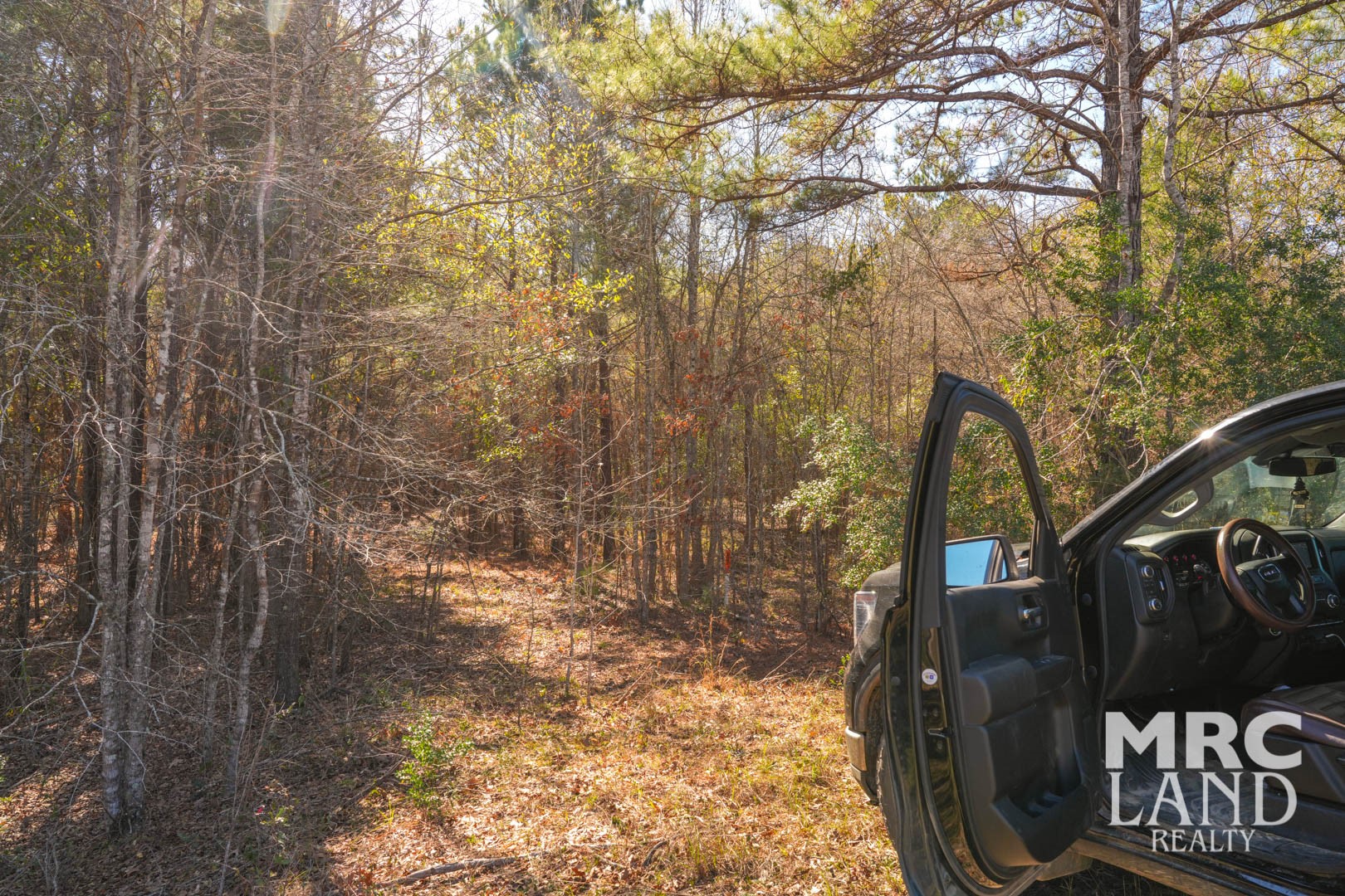 0 Recreational Road 255 Colmesneil, TX 75938 - Photo 6 of 34 a view of a pathway of a building
