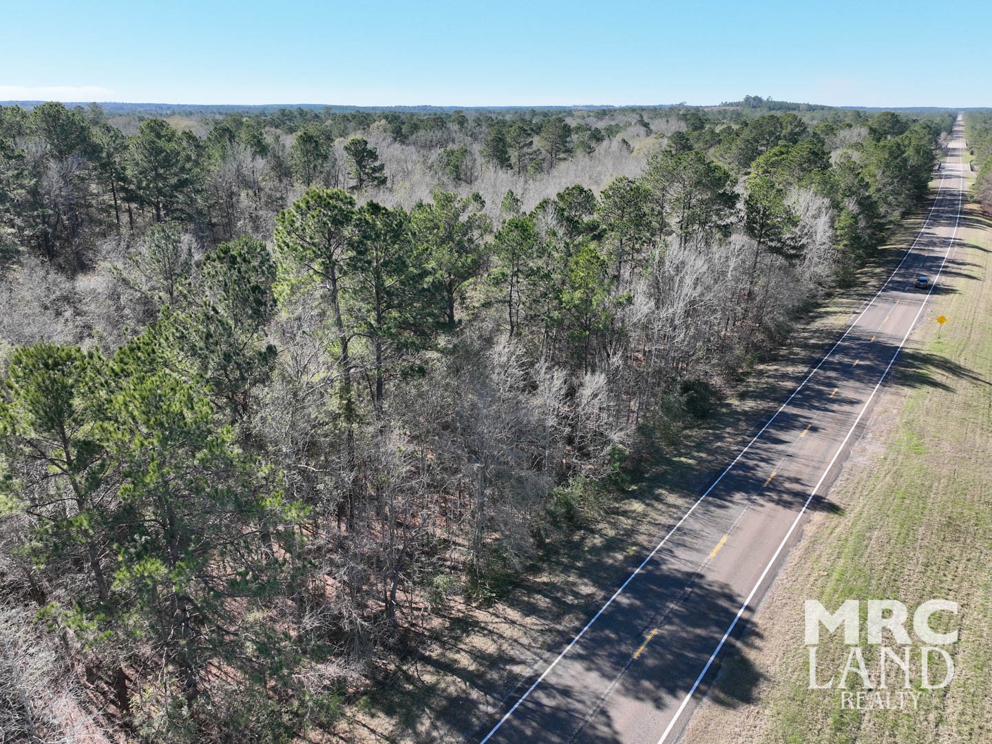 0 Recreational Road 255 Colmesneil, TX 75938 - Photo 9 of 34 a view of a city with lush green forest