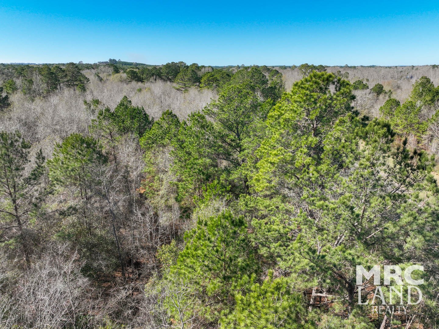 0 Recreational Road 255 Colmesneil, TX 75938 - Photo 10 of 34 a view of a lake with a mountain in the background