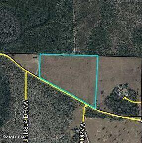 9950 Northwest Porter Grade Road Altha, FL 32421 - Photo 6 of 6 Gallery Image 6