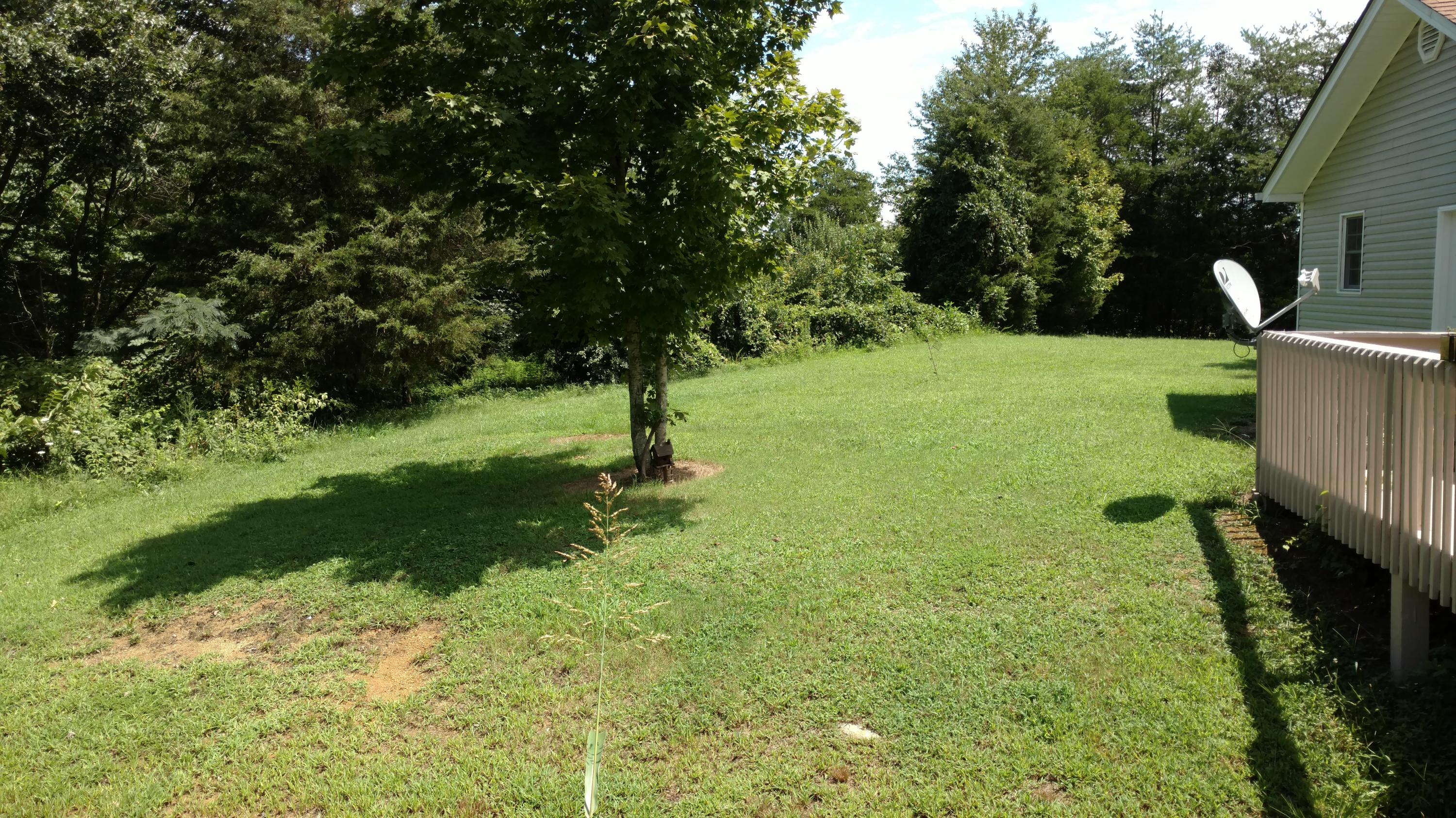 740 Howard Road Bean Station, TN 37708 - Photo 17 of 20 IMG_20170815_131041919