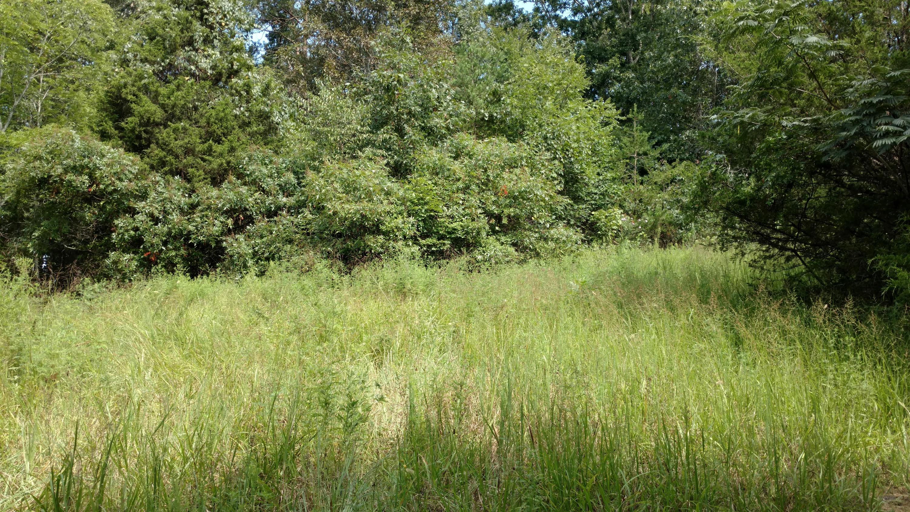 740 Howard Road Bean Station, TN 37708 - Photo 20 of 20 IMG_20170817_111403784 (1)