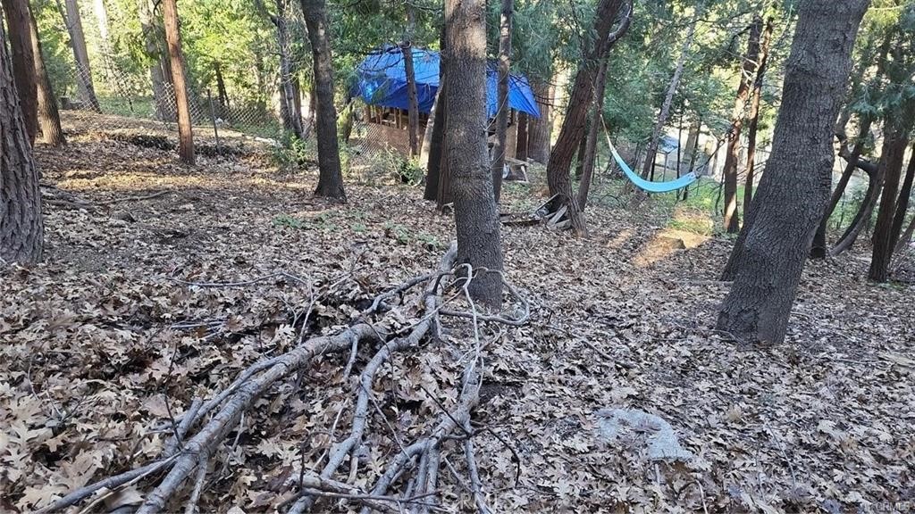 0 Bowl Road Crestline, CA 92325 - Photo 3 of 8