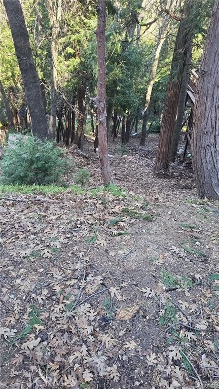 0 Bowl Road Crestline, CA 92325 - Photo 4 of 8