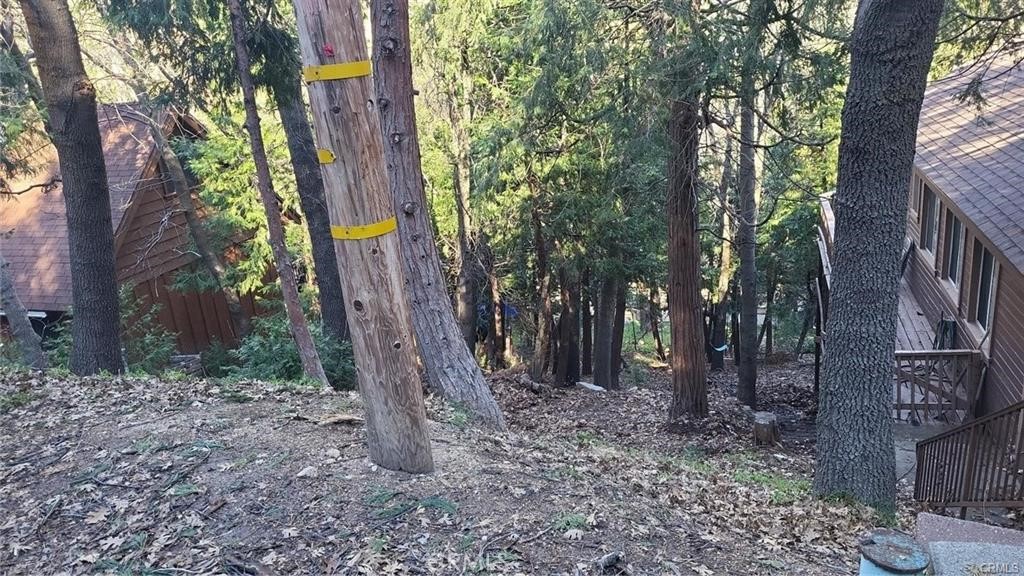 0 Bowl Road Crestline, CA 92325 - Photo 7 of 8