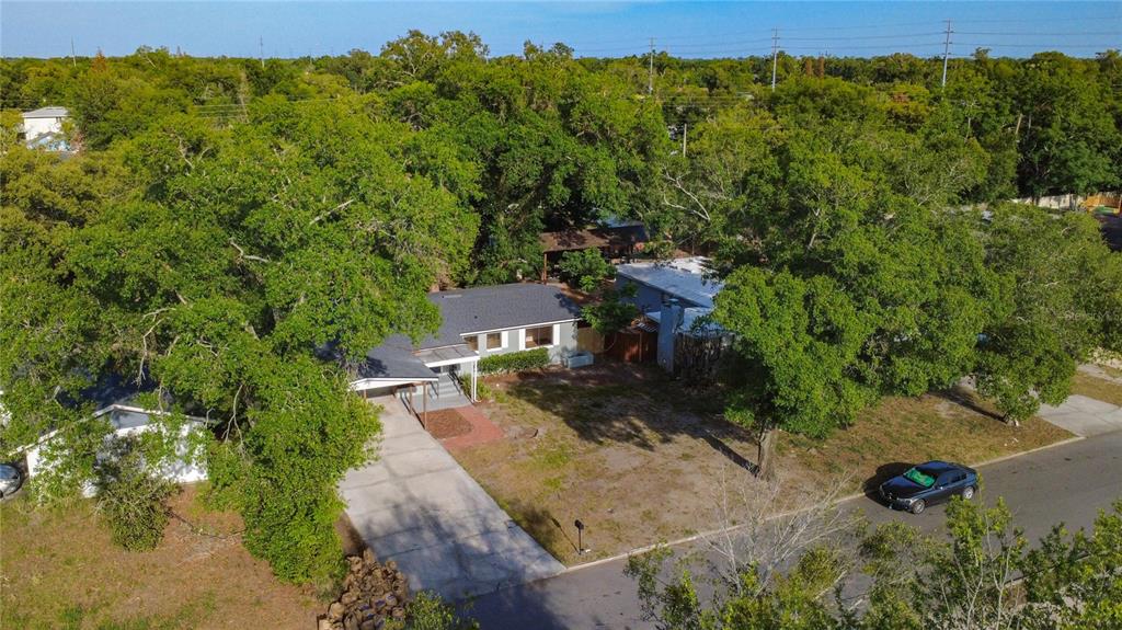2105 Shaffer Place Orlando, FL 32806 - Photo 14 of 68 a view of a forest with a street